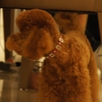 Kirby.2011.06.15-008.JPG