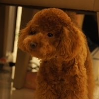 Kirby.2011.06.15-009.JPG