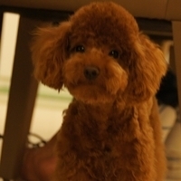 Kirby.2011.06.15-010.JPG