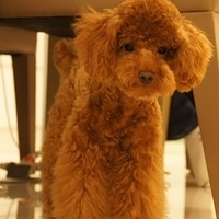Kirby.2011.06.15-011.JPG