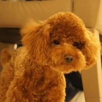 Kirby.2011.06.15-012.JPG