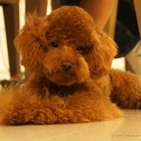 Kirby.2011.06.15-013.JPG