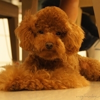Kirby.2011.06.15-014.JPG