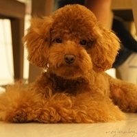 Kirby.2011.06.15-015.JPG