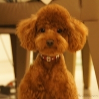 Kirby.2011.06.15-016.JPG