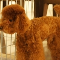 Kirby.2011.06.15-021.JPG