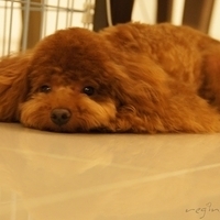 Kirby.2011.06.15-022.JPG