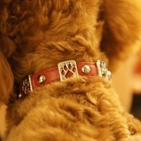 Kirby.2011.06.15-023.JPG