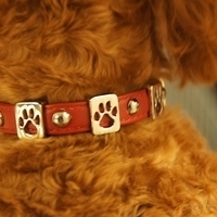 Kirby.2011.06.15-024.JPG