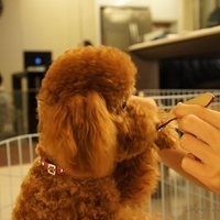 Kirby.2011.06.15-027.JPG