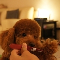 Kirby.2011.06.15-028.JPG
