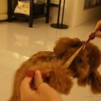 Kirby.2011.06.15-029.JPG
