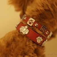 Kirby.2011.06.15-030.JPG