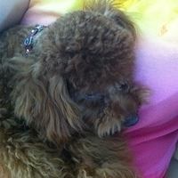 Kirby.2011.06.17-001.JPG