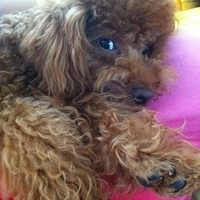 Kirby.2011.06.17-002.JPG