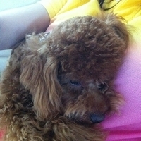 Kirby.2011.06.17-003.JPG