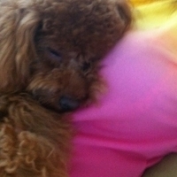 Kirby.2011.06.17-004.JPG