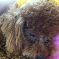Kirby.2011.06.17-005.JPG