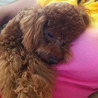 Kirby.2011.06.17-006.JPG