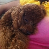 Kirby.2011.06.17-007.JPG