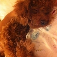 Kirby.2011.06.17-009.JPG