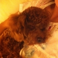 Kirby.2011.06.17-010.JPG