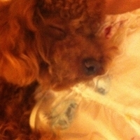 Kirby.2011.06.17-011.JPG