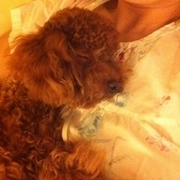 Kirby.2011.06.17-012.JPG