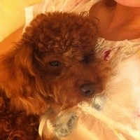 Kirby.2011.06.17-013.JPG