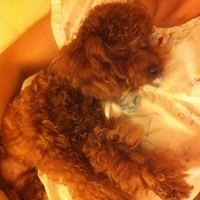 Kirby.2011.06.17-014.JPG