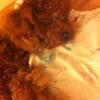 Kirby.2011.06.17-015.JPG