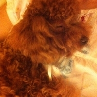 Kirby.2011.06.17-017.JPG