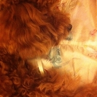 Kirby.2011.06.17-018.JPG