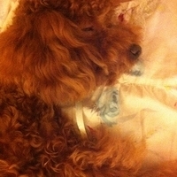 Kirby.2011.06.17-019.JPG