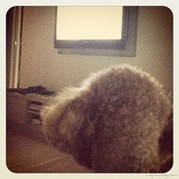 Kirby.2013.06.02-003.JPG