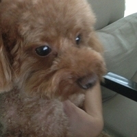 Kirby.2013.06.10-001.JPG