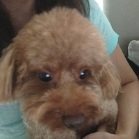 Kirby.2013.06.10-002.JPG