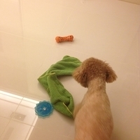Kirby.2013.06.10-004.JPG