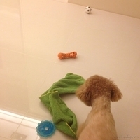 Kirby.2013.06.10-006.JPG