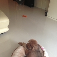 Kirby.2013.06.11-001.JPG