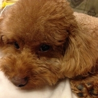 Kirby.2013.06.13-001.JPG