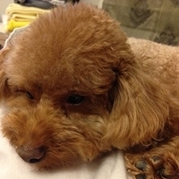 Kirby.2013.06.13-002.JPG
