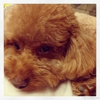 Kirby.2013.06.13-003.JPG