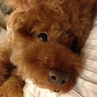 Kirby.2013.06.13-004.JPG