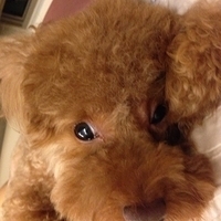 Kirby.2013.06.13-005.JPG