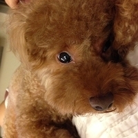 Kirby.2013.06.13-006.JPG