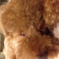 Kirby.2013.06.13-007.JPG