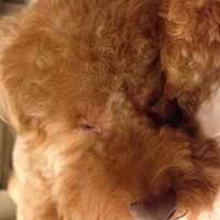 Kirby.2013.06.13-008.JPG