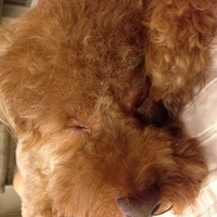 Kirby.2013.06.13-009.JPG