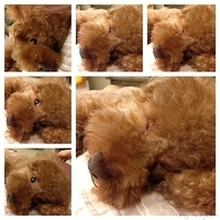 Kirby.2013.06.13-010.JPG